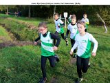 2017-11-05 ARWB Cross